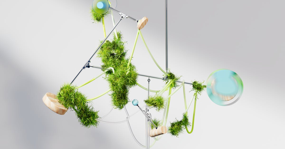 découvrez les dernières innovations écologiques qui révolutionnent notre façon de vivre. explorez des solutions durables et respectueuses de l'environnement qui façonnent un avenir plus vert et responsable.