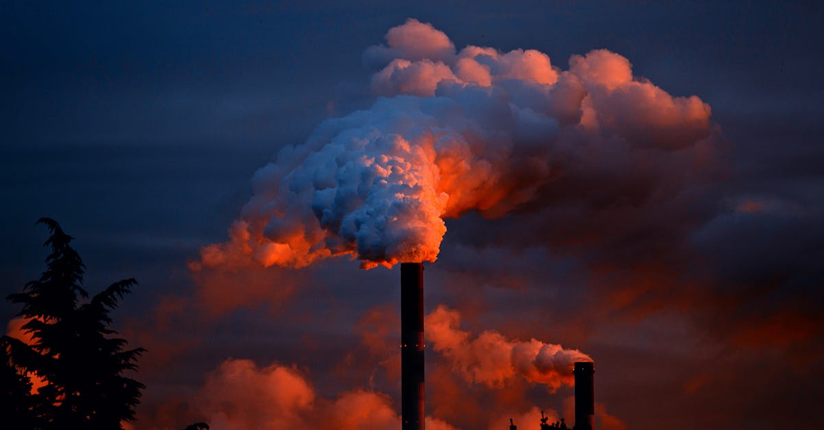 découvrez tout ce qu'il faut savoir sur l'empreinte carbone, son impact sur l'environnement et les solutions pour la réduire. apprenez à mesurer votre empreinte et à adopter des comportements éco-responsables pour un avenir durable.