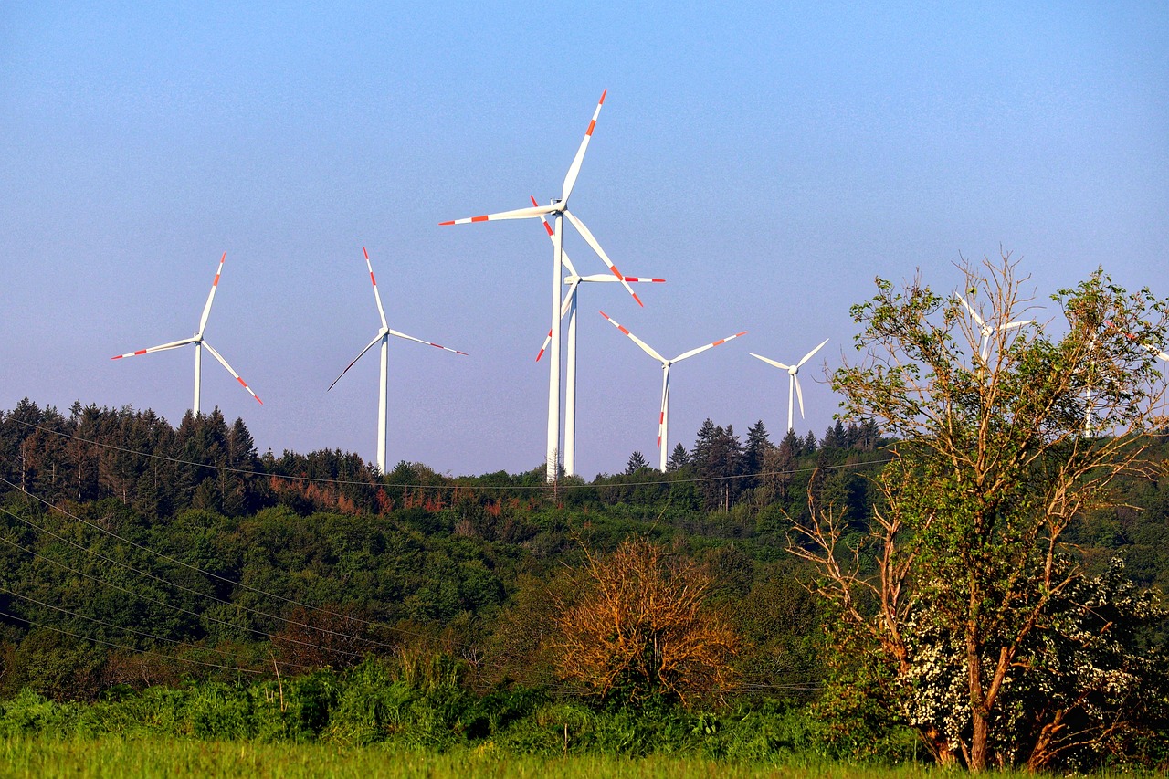 découvrez les enjeux et solutions de la transition énergétique pour un avenir durable et respectueux de l'environnement.
