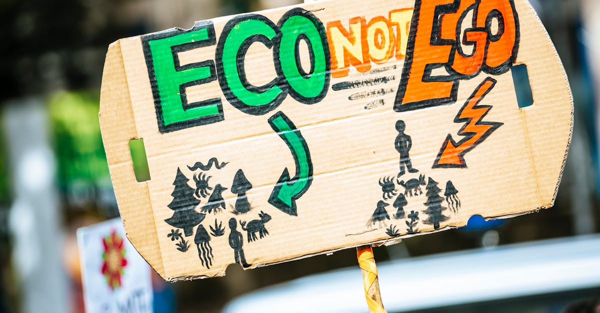 découvrez l'importance de la sensibilisation au changement climatique et comment chaque individu peut contribuer à la protection de notre planète. explorez des solutions concrètes et des actions pour un avenir durable.