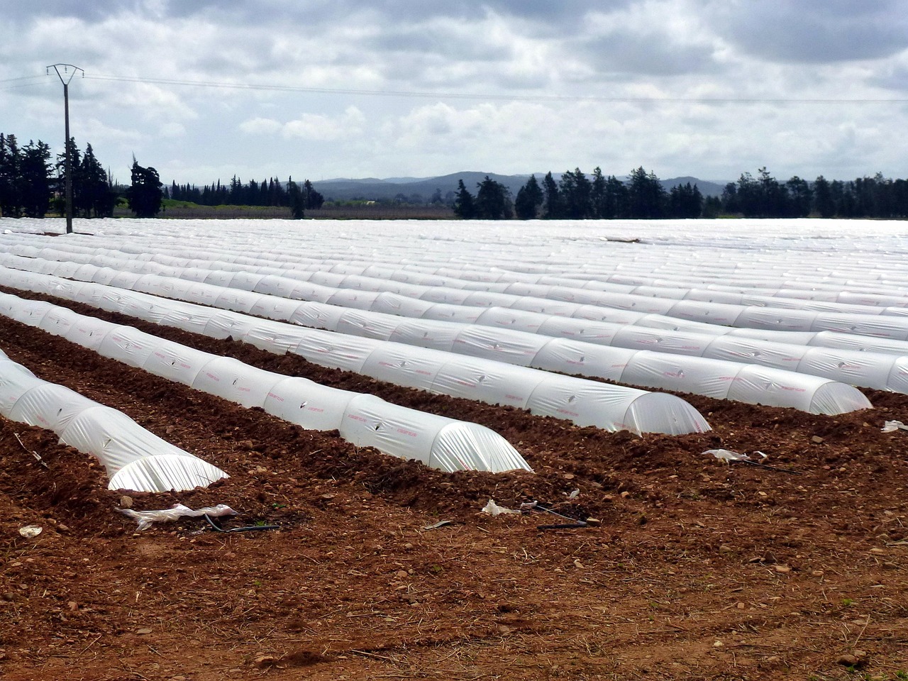 découvrez les dernières innovations et tendances dans l'industrie des plastiques, incluant la production, le recyclage et les solutions durables pour un avenir respectueux de l'environnement.