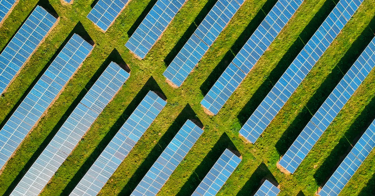 découvrez ce qu'est l'empreinte carbone, son importance pour l'environnement et comment réduire votre impact écologique au quotidien.