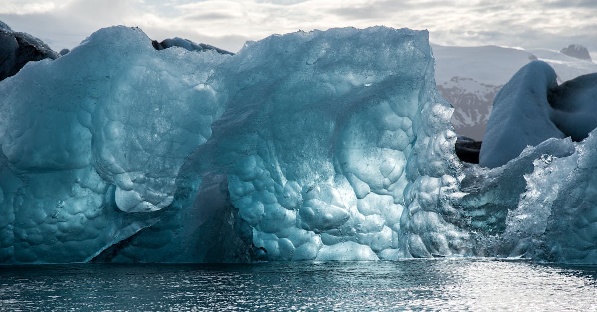 découvrez l'impact du changement climatique sur notre planète, ses causes, ses conséquences et les actions que chacun peut entreprendre pour lutter contre cette crise environnementale mondiale.