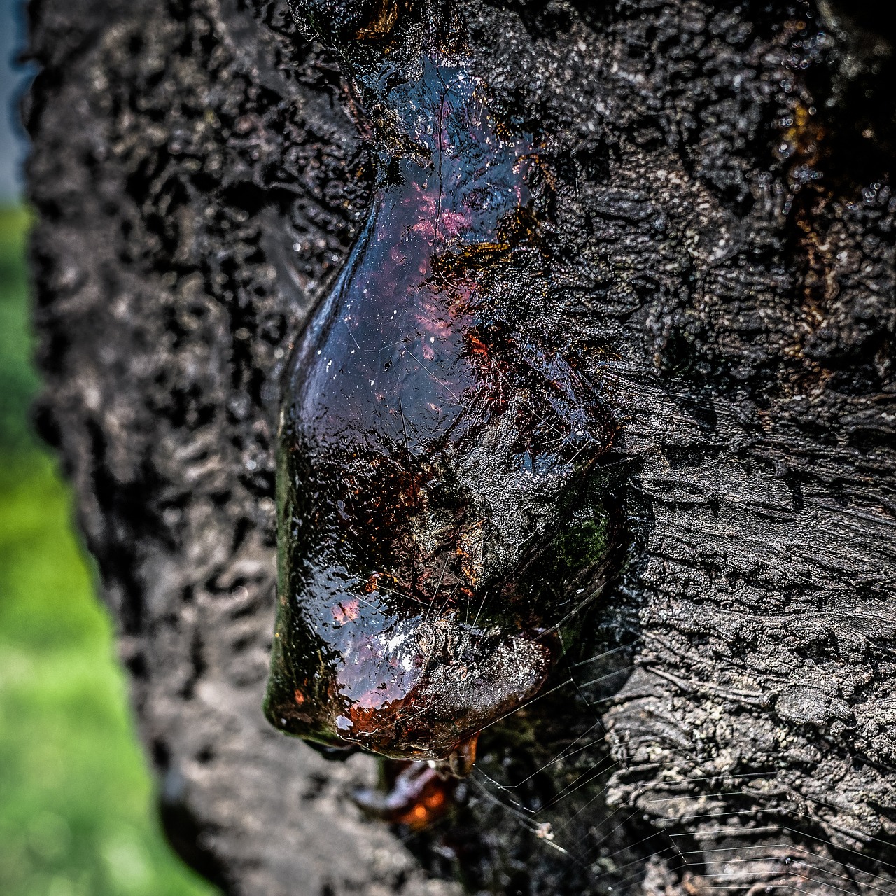 découvrez ce qu’est le carbon leakage (fuite de carbone) : ses impacts sur l’environnement, son lien avec la délocalisation industrielle et les solutions pour limiter les émissions mondiales de co2. comprenez les enjeux pour les politiques climatiques internationales.