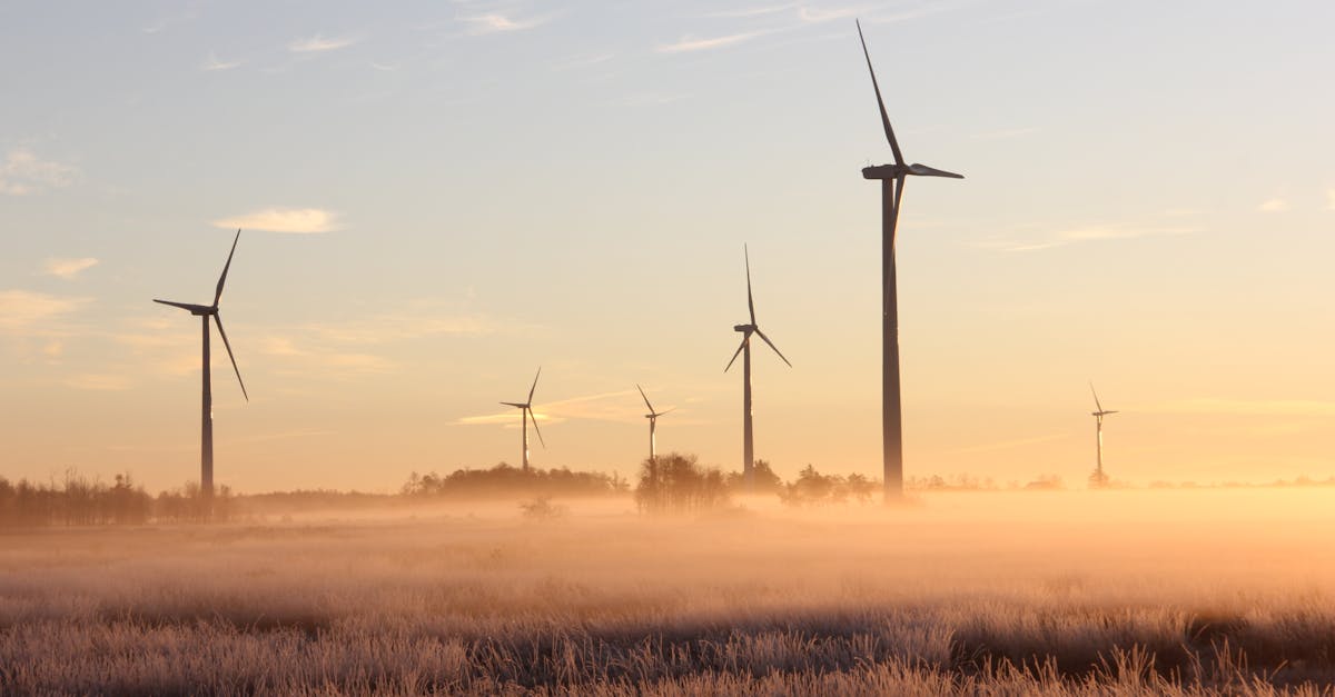 découvrez les technologies durables qui façonnent l'avenir. explorez des innovations écologiques et des pratiques respectueuses de l'environnement pour un monde meilleur.