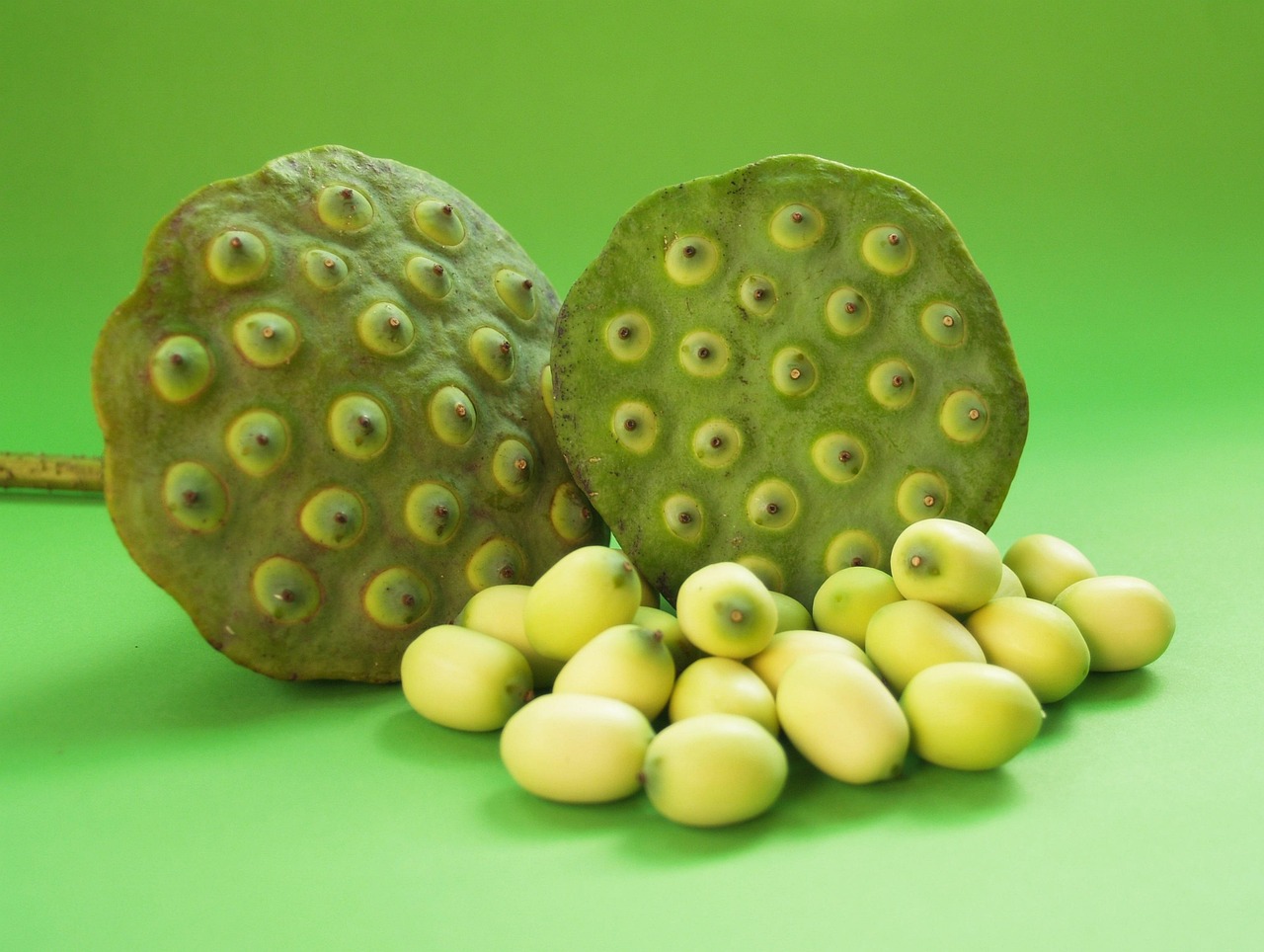 découvrez notre sélection de produits biologiques frais, cultivés naturellement pour une alimentation saine et respectueuse de l'environnement.