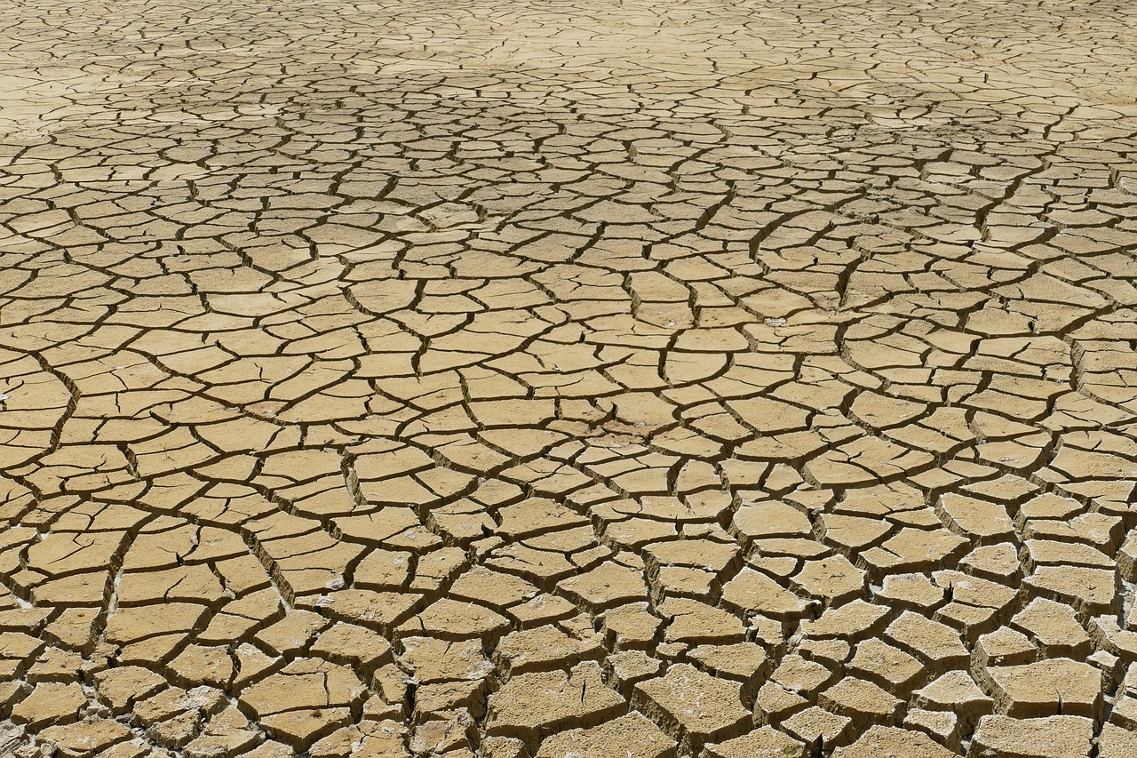 découvrez les causes, conséquences et solutions du changement climatique. informez-vous sur les actions à adopter pour préserver la planète face à ce défi mondial.