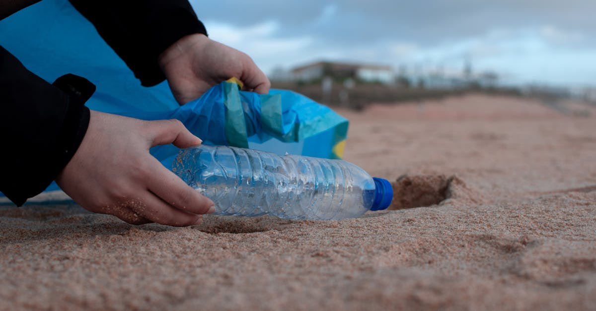 découvrez l'impact du changement climatique sur notre planète et les mesures à prendre pour préserver notre environnement. plongez dans les enjeux écologiques actuels et les solutions durables pour un avenir meilleur.