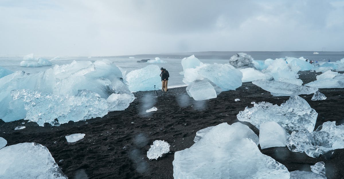 découvrez les enjeux du changement climatique, ses impacts sur notre planète et les actions nécessaires pour préserver notre environnement. informez-vous sur les solutions durables et les initiatives globales visant à lutter contre ce défi majeur du xxie siècle.