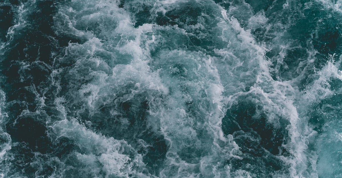 explorez la beauté mystérieuse de l'océan, un monde fascinant rempli de vie marine, de paysages sous-marins époustouflants et d'aventures infinies. plongez dans ses profondeurs et découvrez des merveilles naturelles inoubliables.