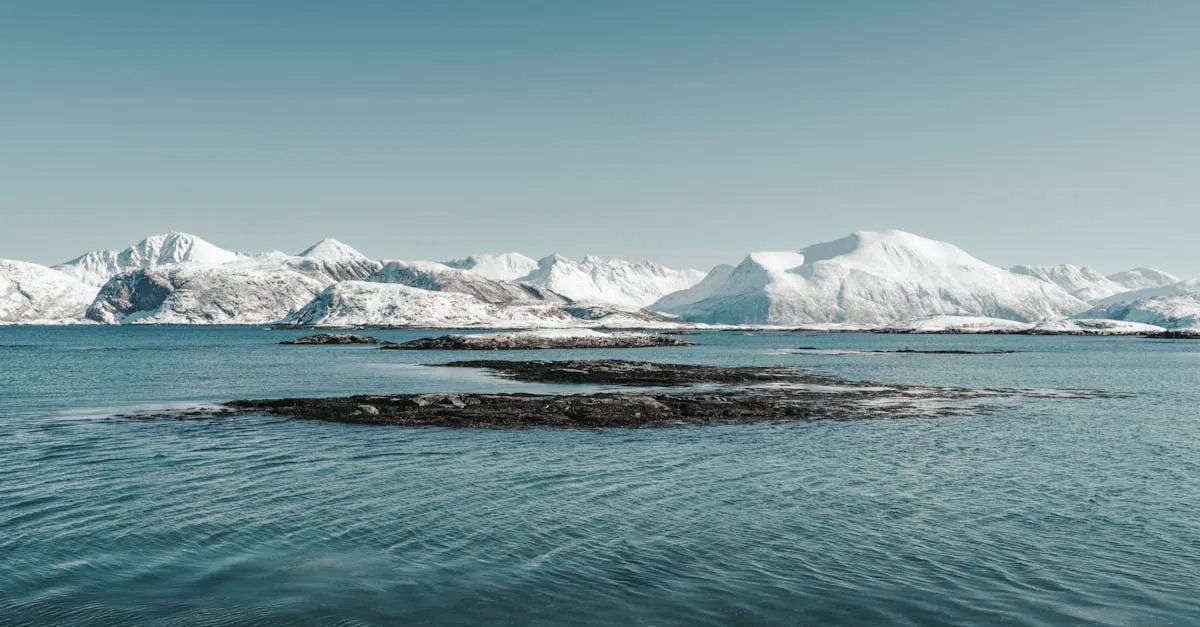 L’avenir de l’arctique face aux changements climatiques