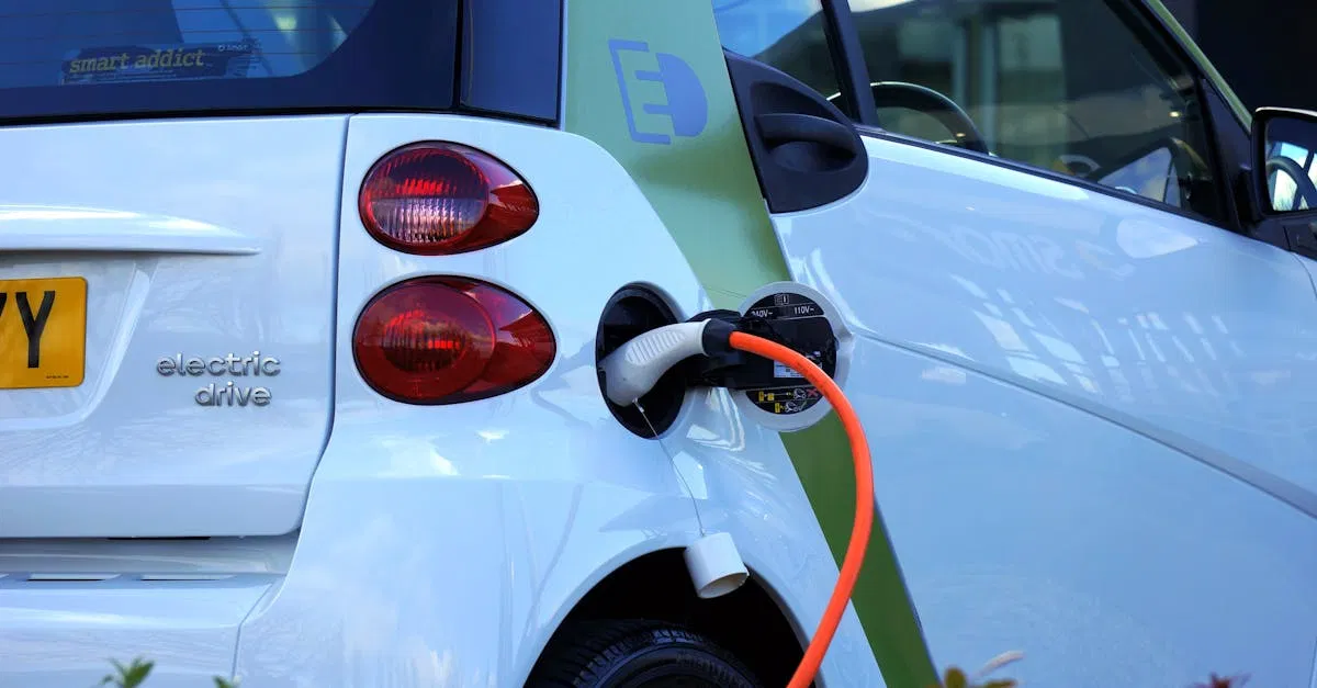 Énergie verte : quelles alternatives face aux énergies fossiles ?