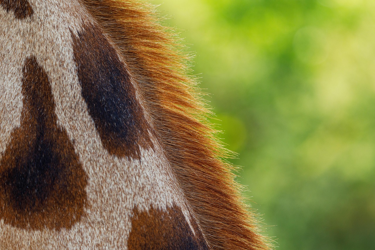 Dassault Systèmes dévoile la conformité de sa plateforme 3DEXPERIENCE au PACT pour dynamiser la décarbonation dans l’ensemble de la chaîne de valeur