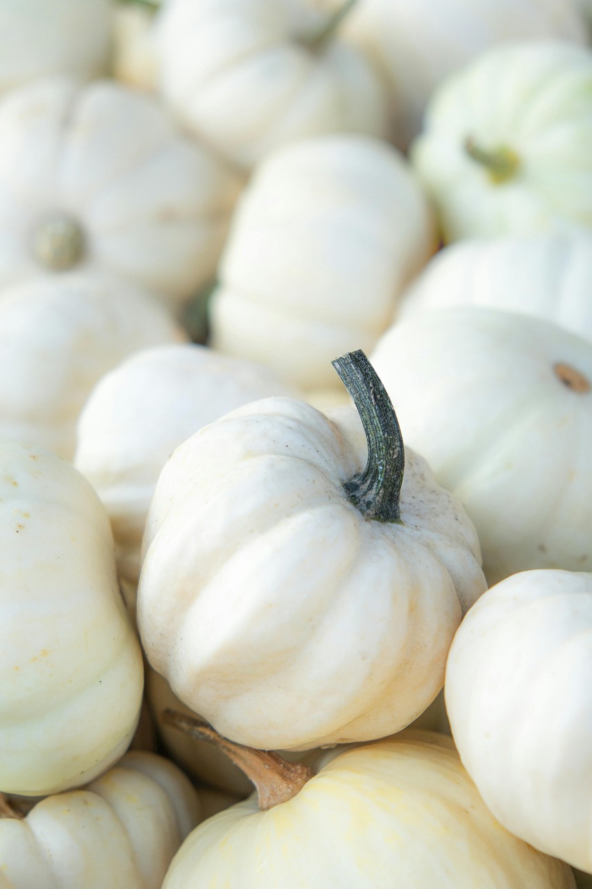 Acheter local en 2025 : pourquoi privilégier les produits de saison ?