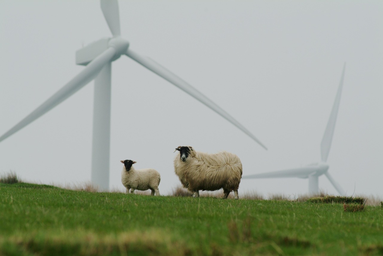 PACCT for Sustainability plaide pour une révision des réglementations afin de dynamiser la transition vers des modèles économiques durables en Europe