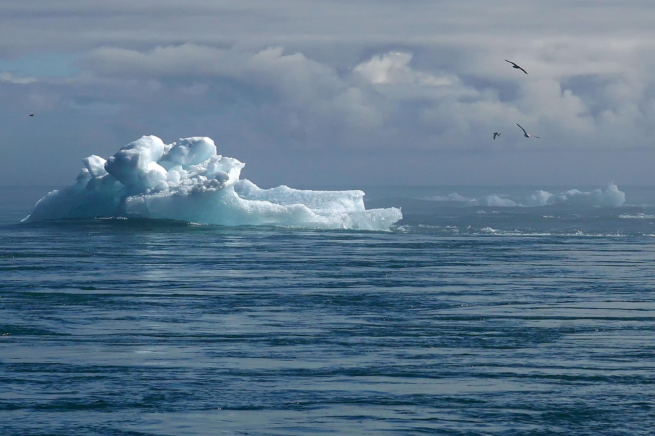 Stratégie climat : découvrez les retours d’expérience des entreprises impliquées avec l’initiative ACT