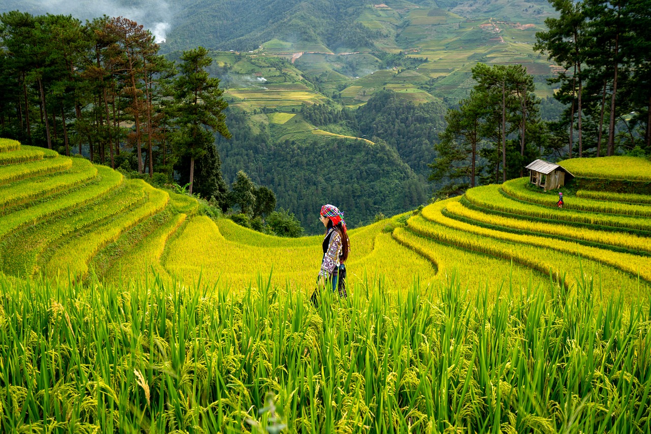 Agriclimate : bâtir une agriculture résiliente pour relever les défis du changement climatique