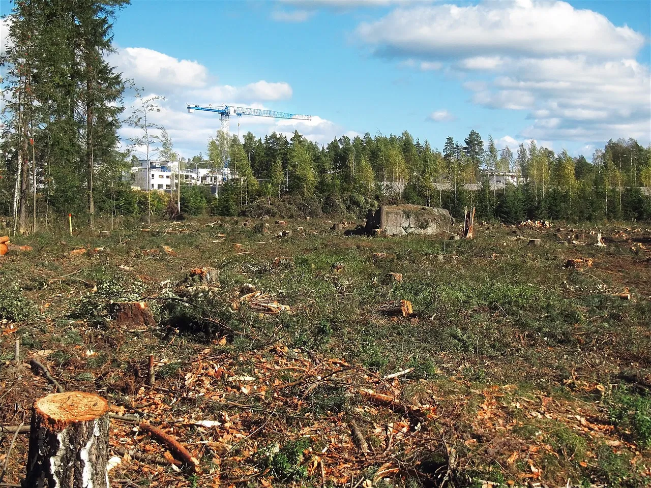 L’impact environnemental du numérique en 2022 : un état des lieux