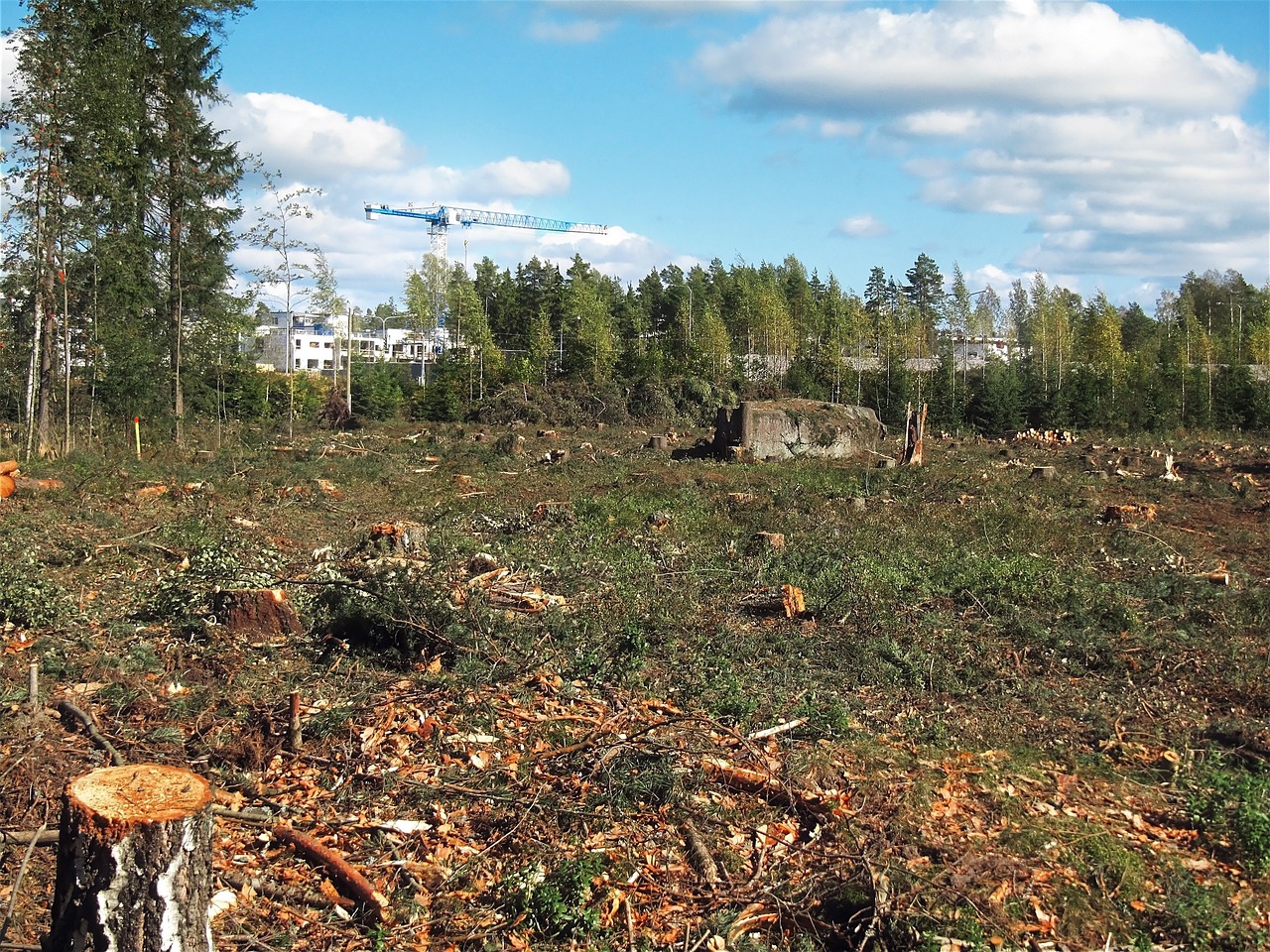 L’impact environnemental du numérique en 2022 : un état des lieux