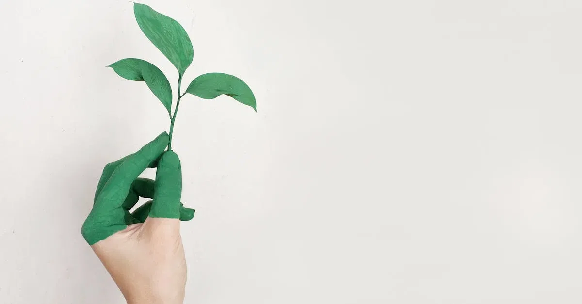 Pratiques de développement durable en entreprise : guide 2025