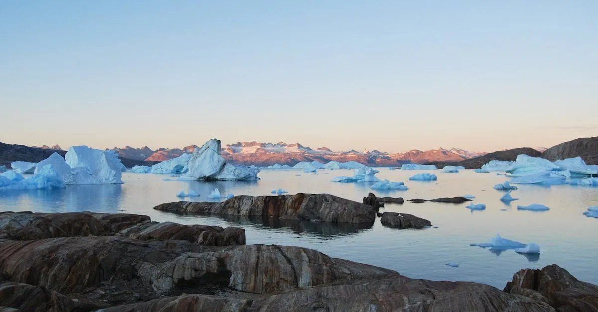 Urgence glaciaire : l’arctique en péril
