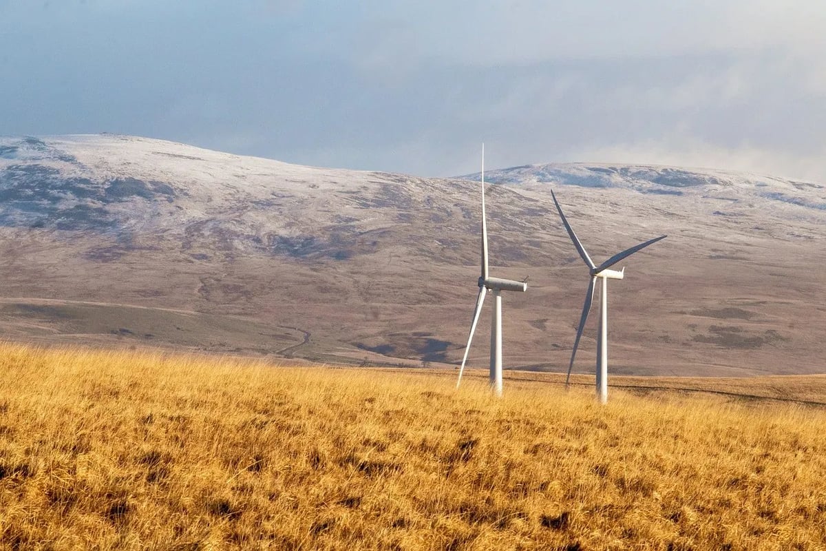 Est-il possible d’interrompre l’expansion des éoliennes et des autres sources d’énergies renouvelables ?