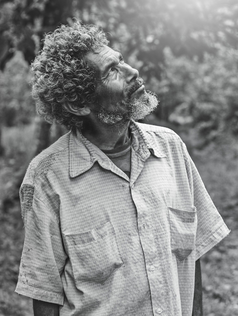 L’analyse du cycle de vie et le bilan carbone des énergies renouvelables