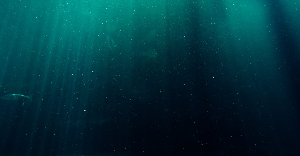 La mer en danger : conséquences du changement climatique