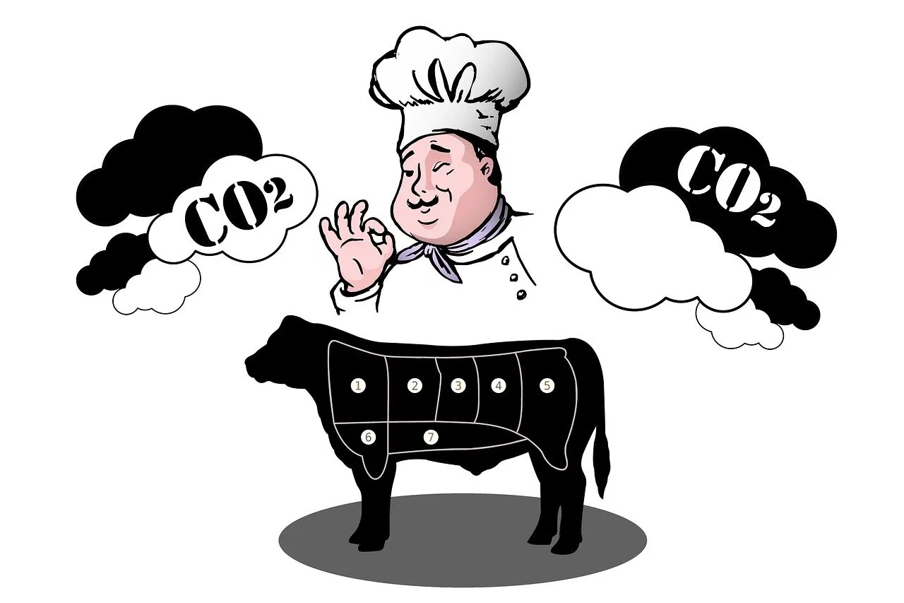 Bilan carbone : un outil clé dans la transition écologique