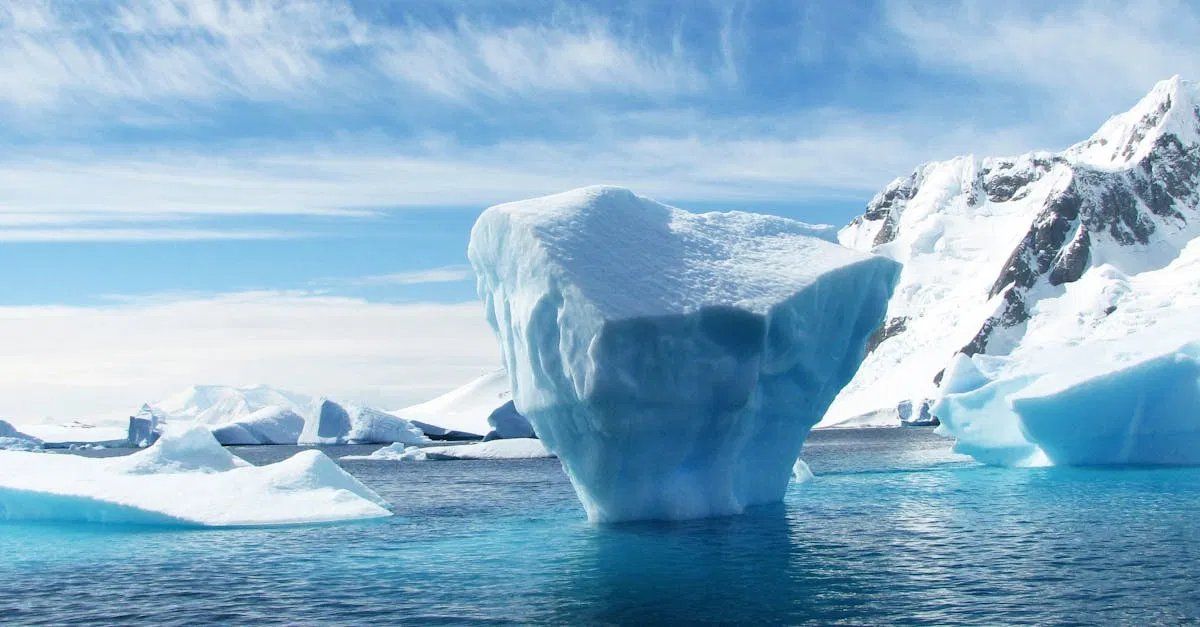 L’arctique en mutation : impacts des changements écologiques sur les écosystèmes