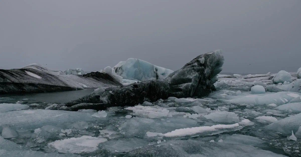 Les glaciers de l’arctique : témoins du changement climatique