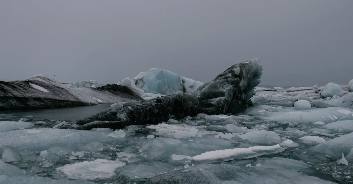 Les glaciers de l’arctique : témoins du changement climatique