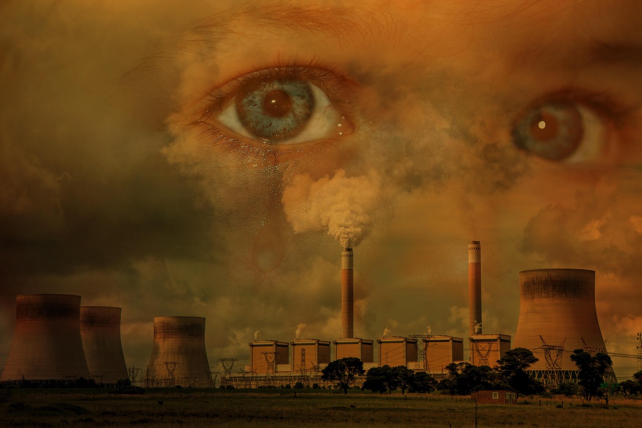 Découvrez tous nos articles dédiés à l’impact environnemental