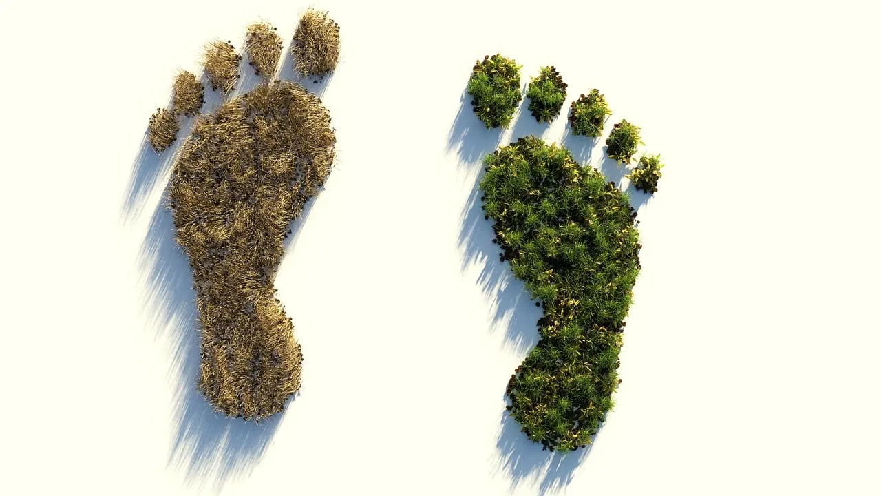 L’Empreinte Environnementale des Produits (EEP) : une méthode d’évaluation de l’impact écologique des biens