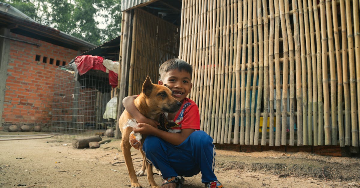 Les plantes résilientes de l’arctique : survie dans un environnement extrême