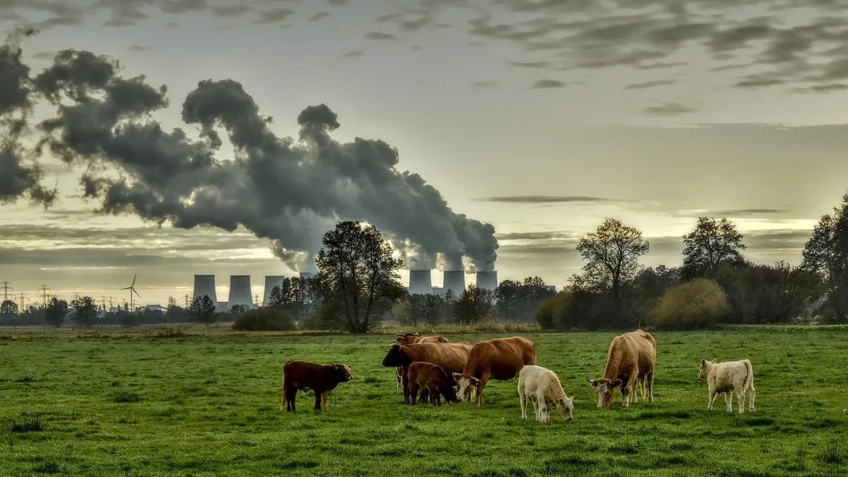 Lutte contre le changement climatique : les associations pointent le manque de réalisme dans la stratégie française