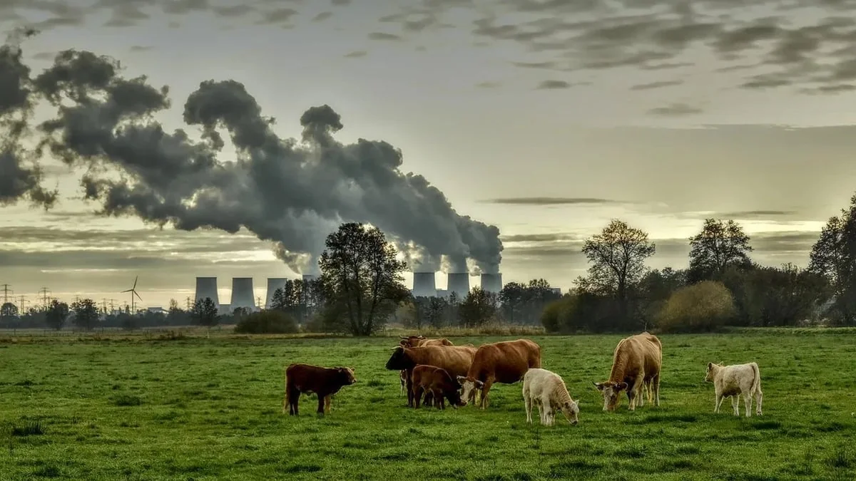 Lutte contre le changement climatique : les associations pointent le manque de réalisme dans la stratégie française