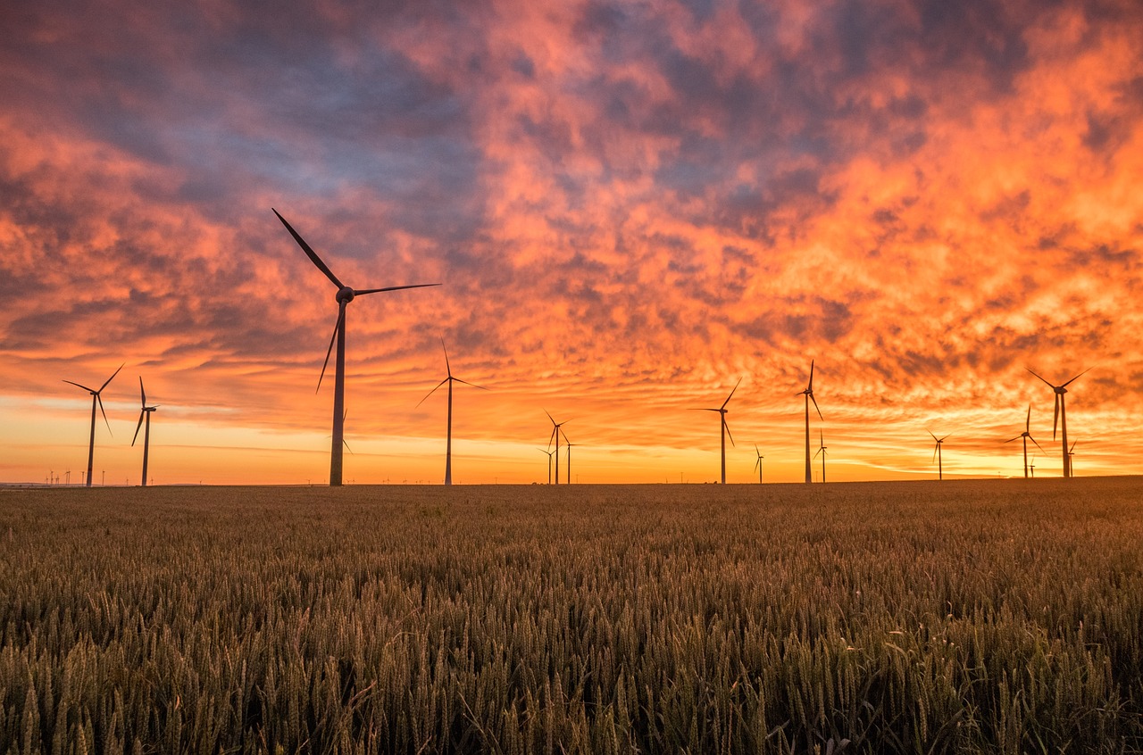 Notre appel aux entreprises : promouvoir la sobriété, l’efficacité et l’adoption des énergies renouvelables