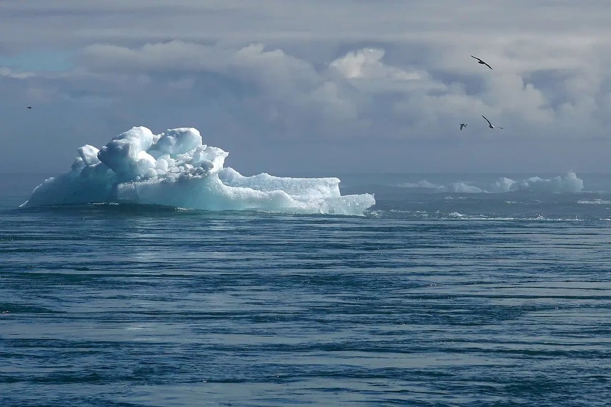 Changement Climatique : Suivez les Dernières Nouvelles, Vidéos, Images et Informations en Temps Réel