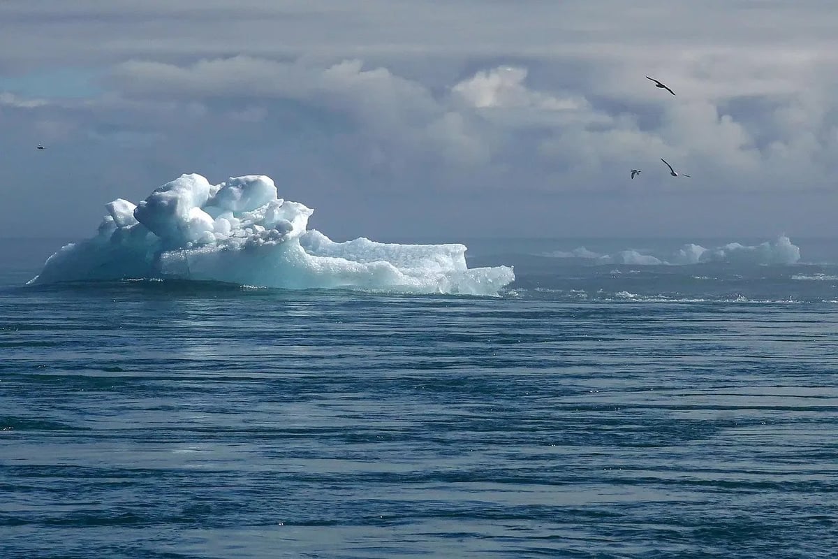 Agir Localement pour un Impact Global : Vos Actions Contre le Changement Climatique