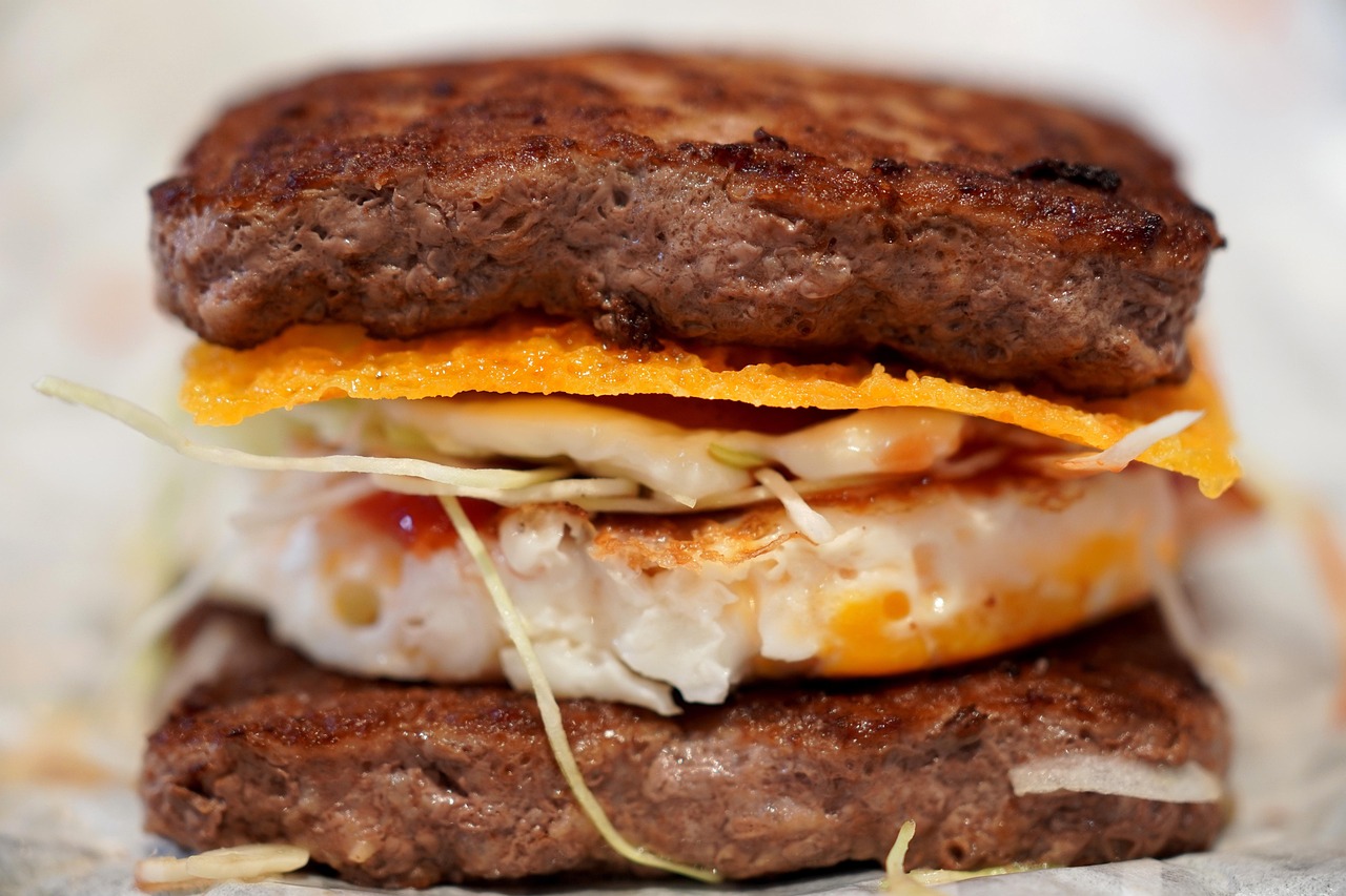 Le Label Bas-Carbone : Six ans d’évaluations et de perspectives pour un avenir durable