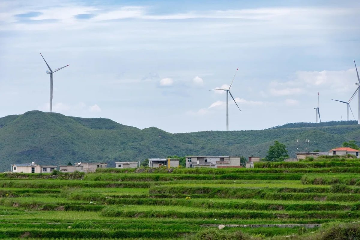 Vers un avenir meilleur : les enjeux et solutions du développement durable