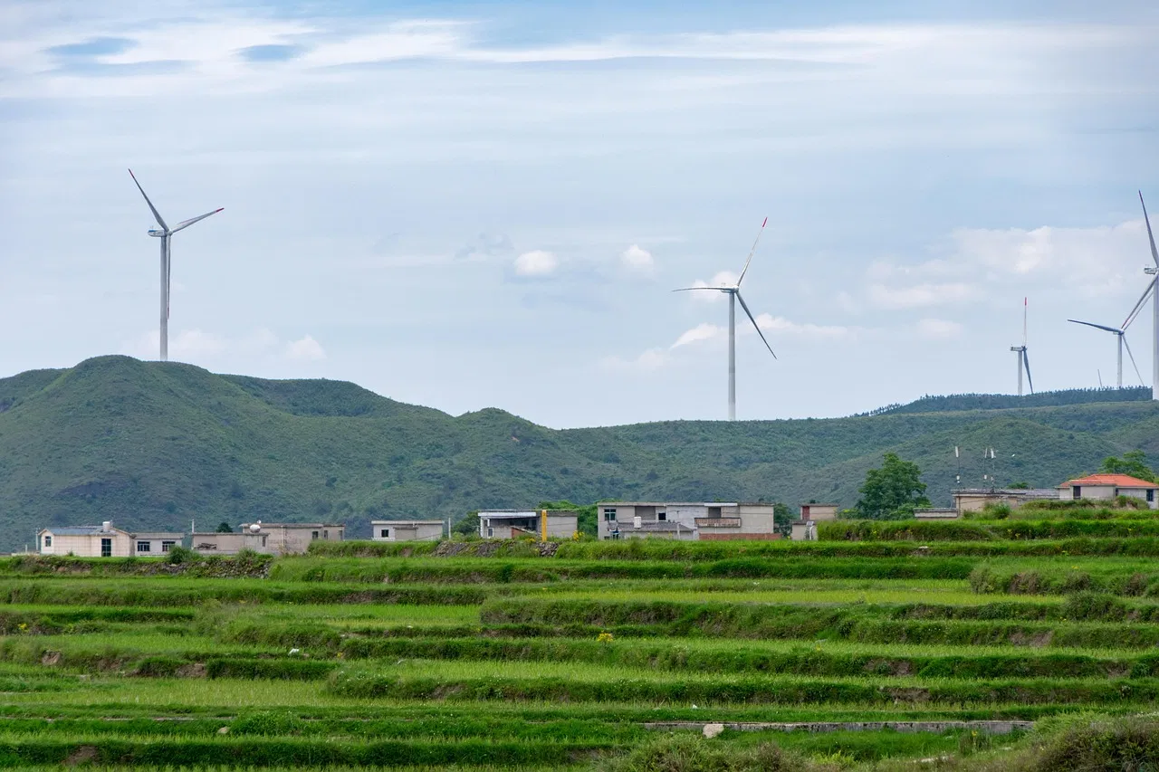 Vers un avenir meilleur : les enjeux et solutions du développement durable