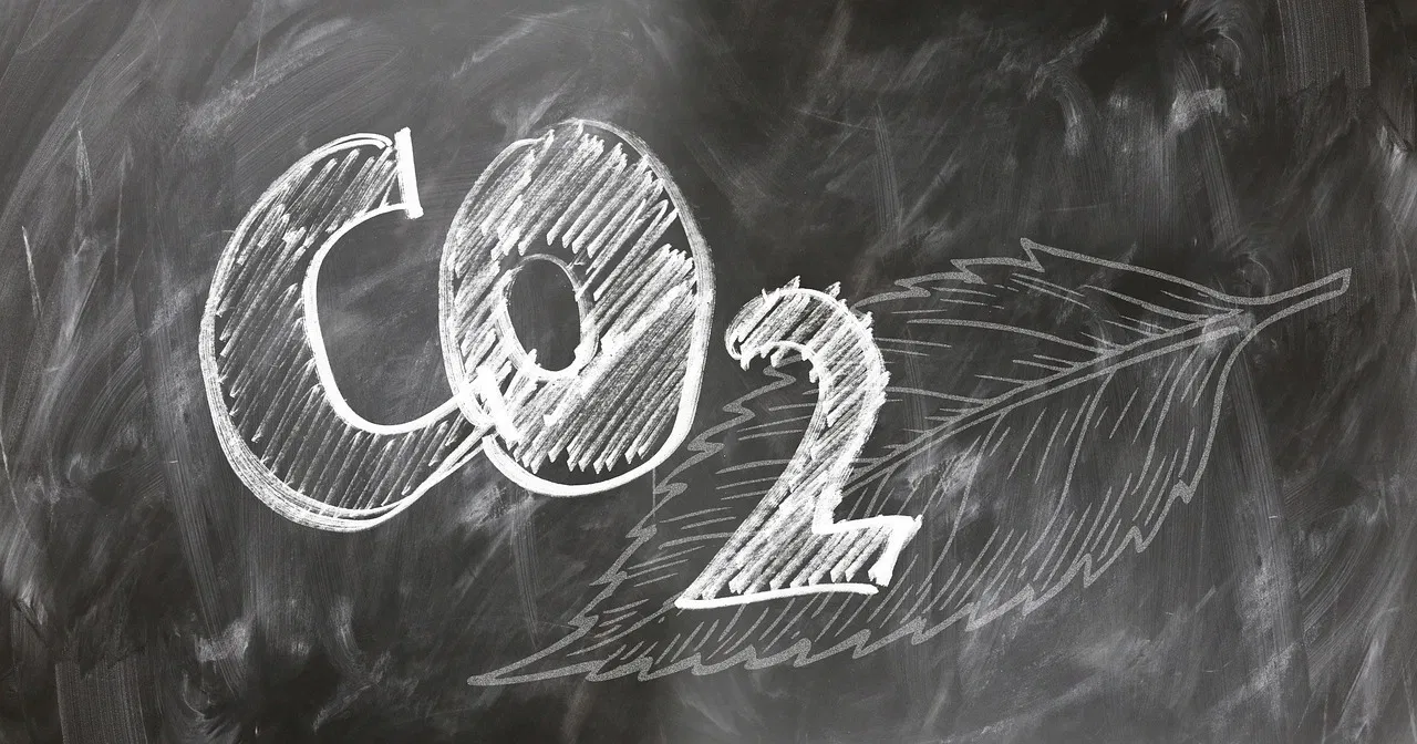 Bilan carbone : quelles certifications obtient-on ?