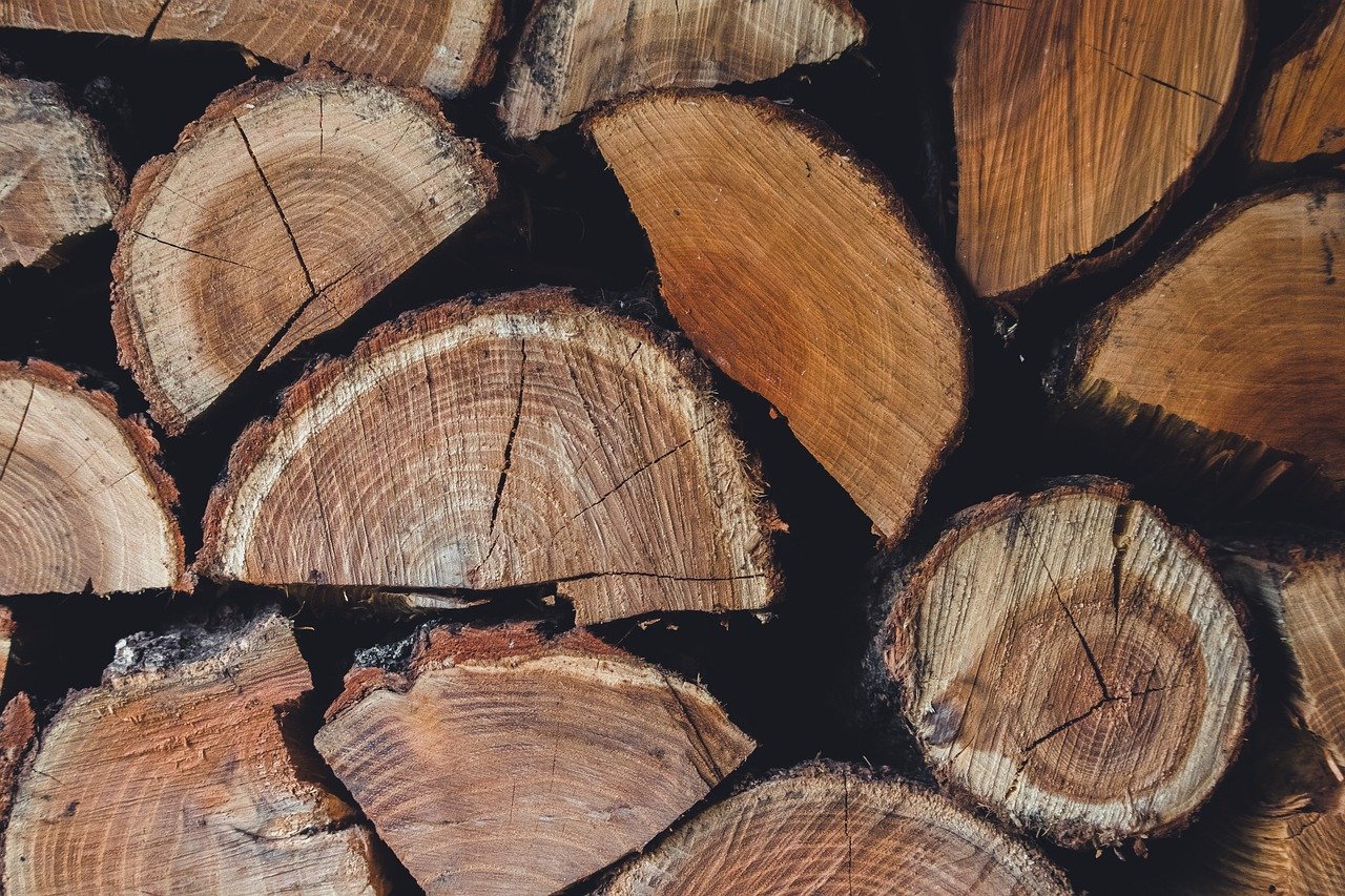 Renforcer notre avenir : cap sur une économie circulaire durable