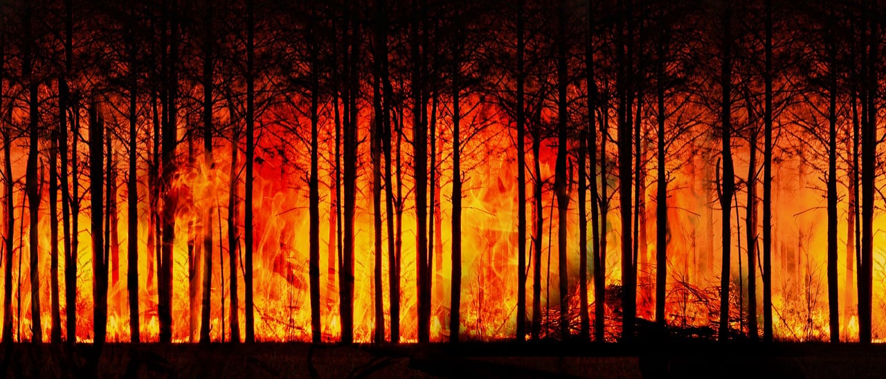 Impact du changement climatique sur l’agriculture et son empreinte carbone