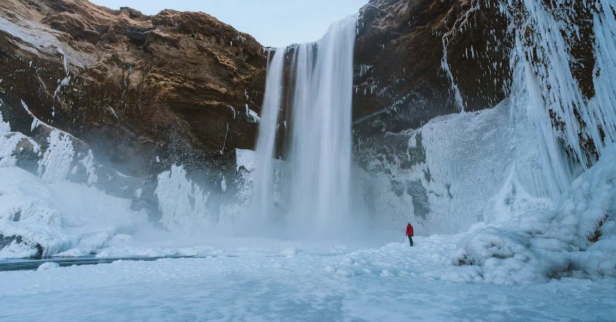 L’arctique face au réchauffement climatique : enjeux et conséquences