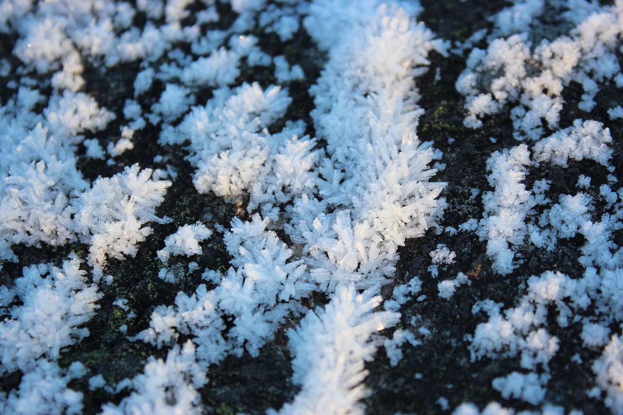 La dégradation du permafrost : défis d’adaptation et impacts sur les communautés locales