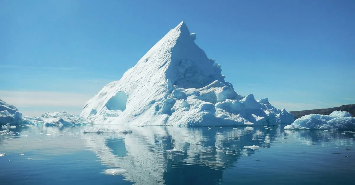 L’arctique : un écosystème fragile à préserver
