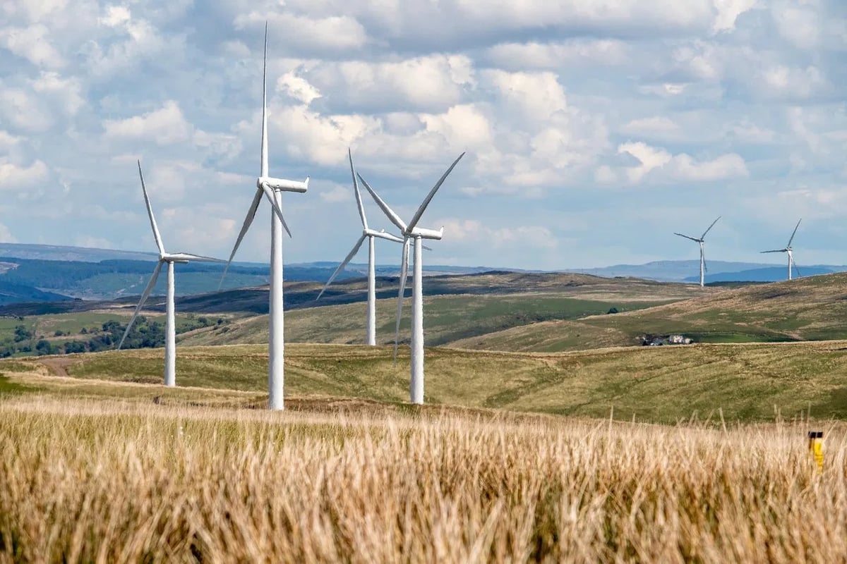 Les énergies renouvelables : un levier pour la transition écologique